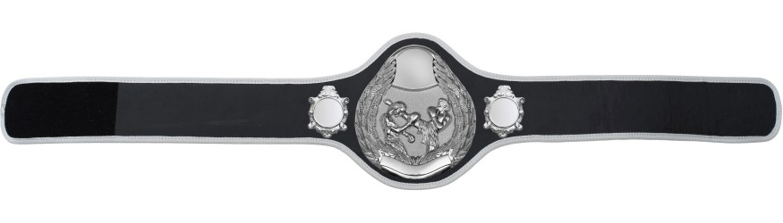 THAI BOXING CHAMPIONSHIP BELT-PRO301/S/TBOS- 10 + COLOURS THAI BOXING CHAMPIONSHIP BELT-PRO301/S/TBOS- 10 + COLOURS